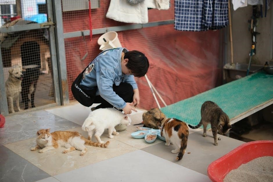 tony holler feed the cats pdf