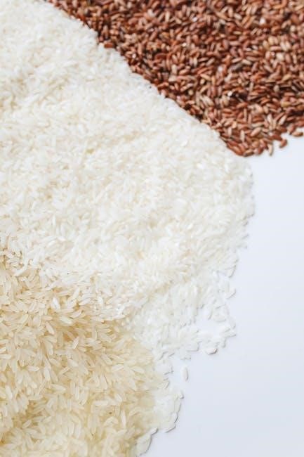 dash mini rice cooker instructions